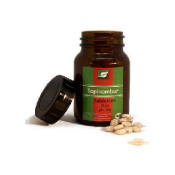 Gesundheit & Vitalität