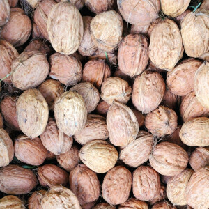 Organic Walnut  - 