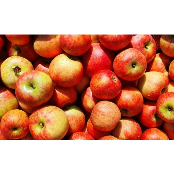 Orchard meadows apple juice