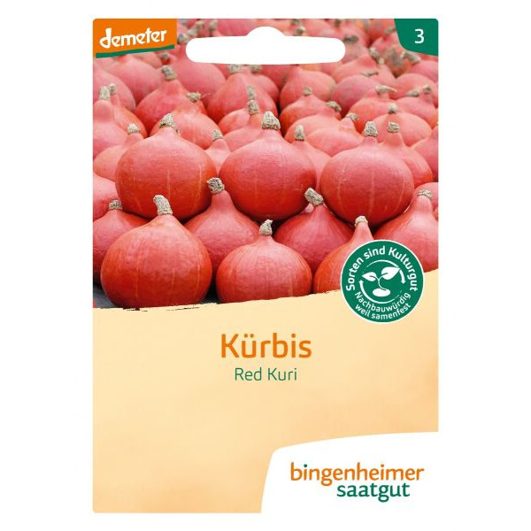 Kürbis Red Kuri