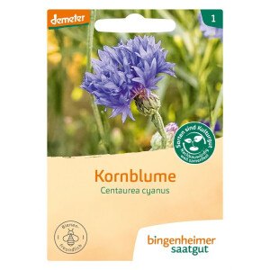 Kornblume