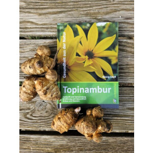 Topinambur Start Paket