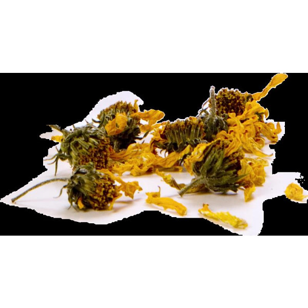 Jerusalem artichoke leaf & flower tea, organic