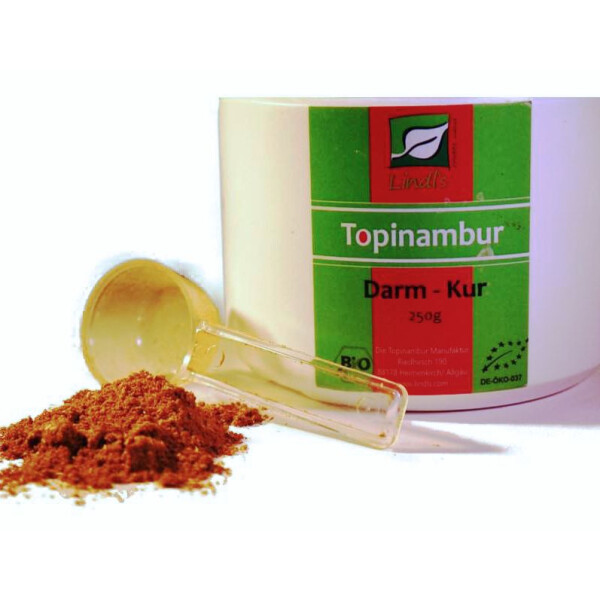 Topinambur Darm Kur