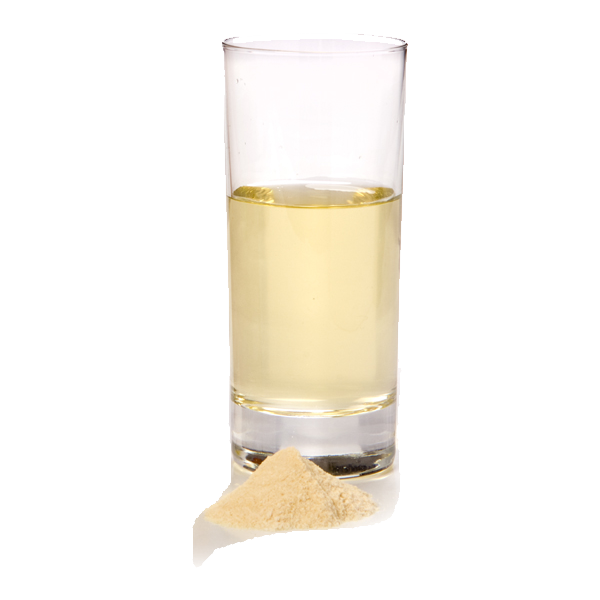 Topinambur Saftpulver bio