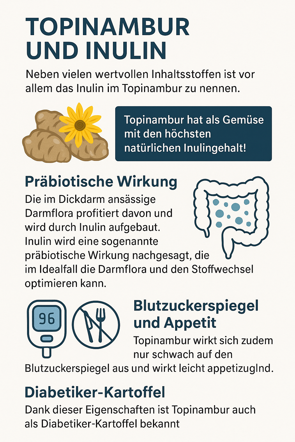 Inulin im Topinambur wirkt