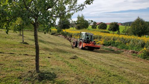Obstbaumwiese 2024
