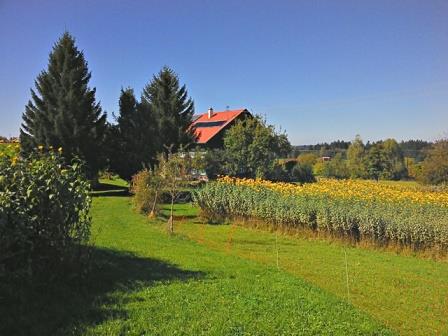 Die Topinambur Manufaktur im Allgäu