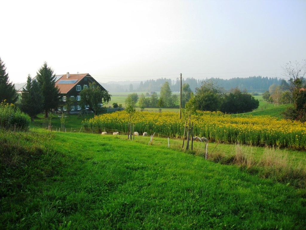 Die Topinambur Manufaktur im Allgäu