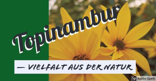 Topinambur Vielfalt aus der Natur