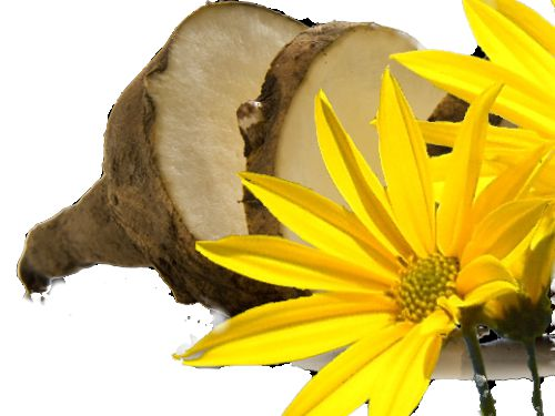 Fotolia_115612777