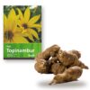 Topinambur Starterset