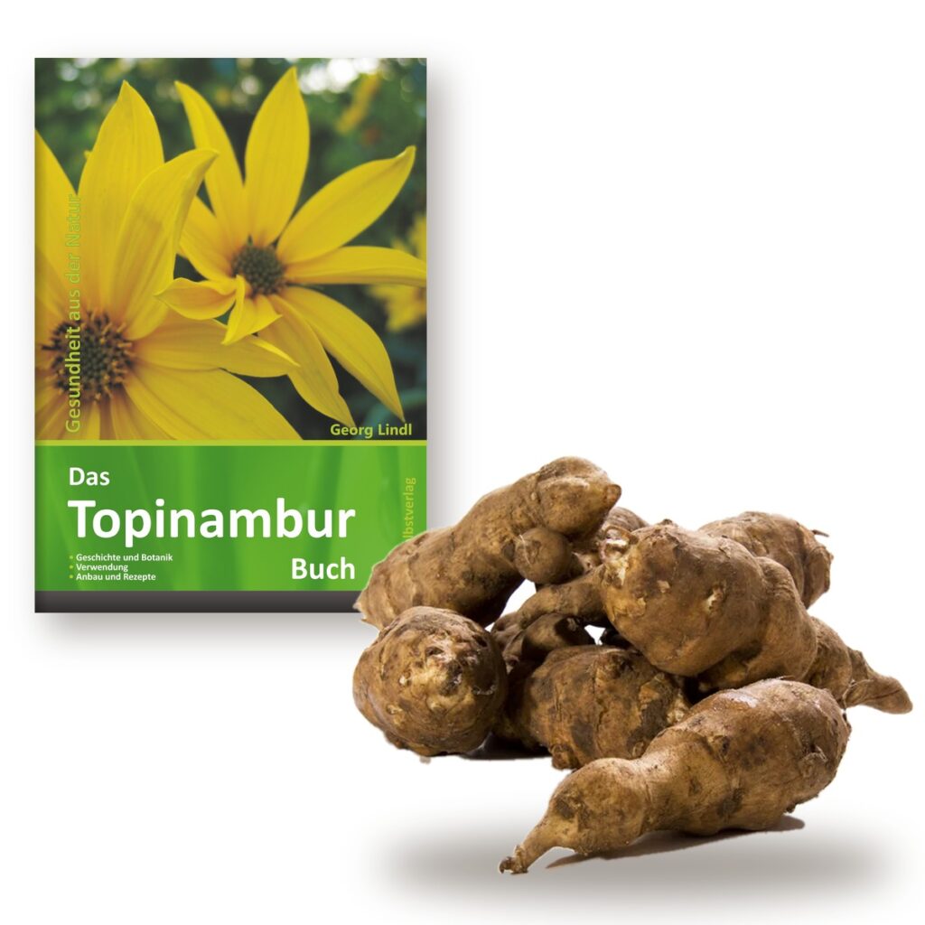 Topinambur Starterset