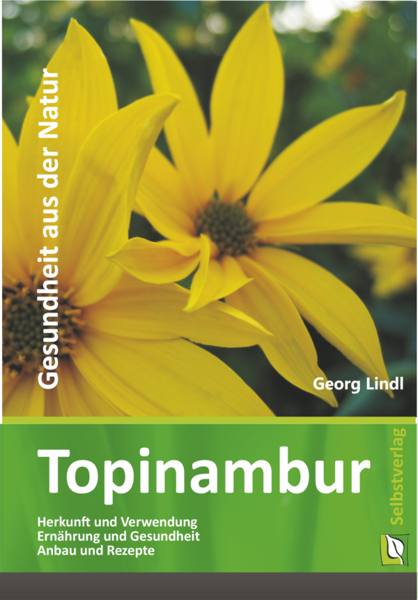 Topinambur Starterset: Buch & frische Knollen